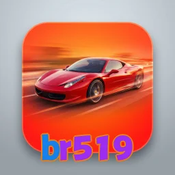 br519
